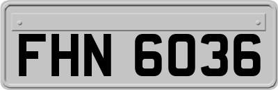 FHN6036
