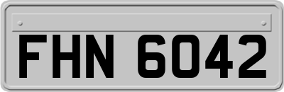 FHN6042