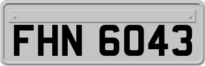 FHN6043