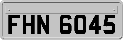 FHN6045