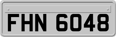 FHN6048