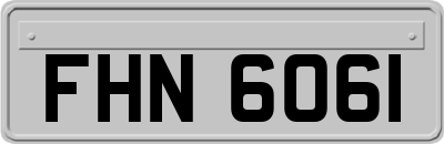 FHN6061