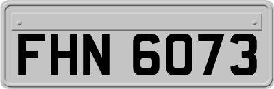 FHN6073
