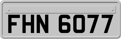 FHN6077