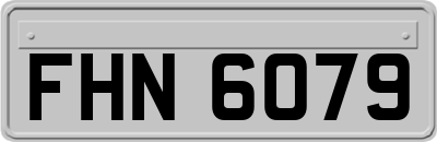 FHN6079