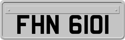FHN6101