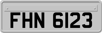 FHN6123