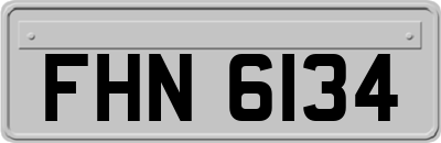 FHN6134