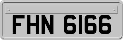 FHN6166