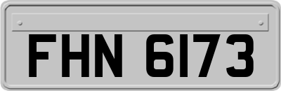 FHN6173