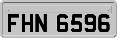 FHN6596