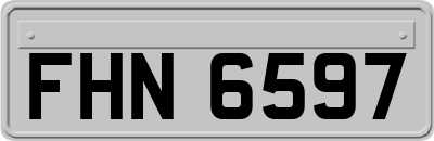 FHN6597