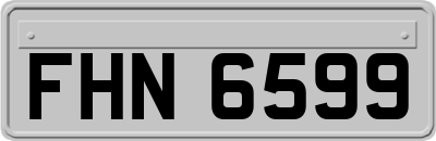 FHN6599