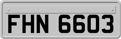 FHN6603