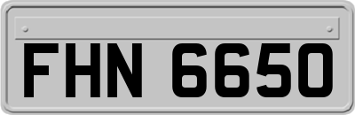 FHN6650