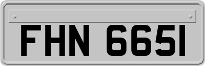 FHN6651