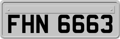 FHN6663