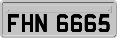 FHN6665