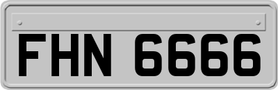 FHN6666