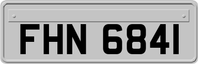 FHN6841
