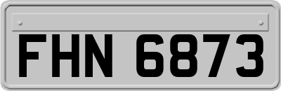 FHN6873