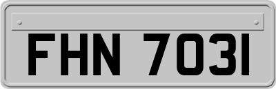 FHN7031