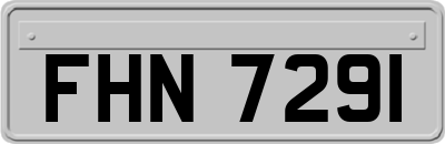 FHN7291