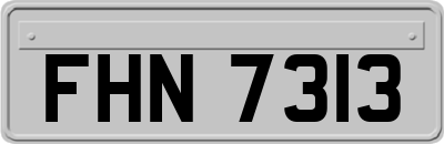 FHN7313