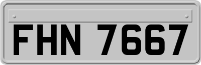 FHN7667