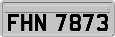 FHN7873