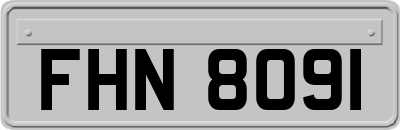 FHN8091