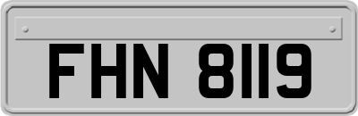 FHN8119