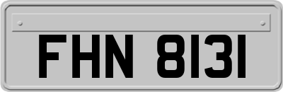 FHN8131