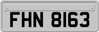 FHN8163