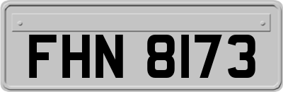 FHN8173