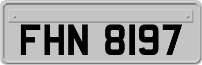 FHN8197