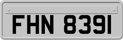 FHN8391