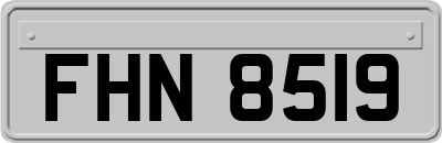 FHN8519