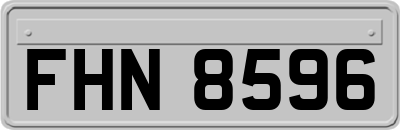 FHN8596