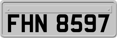 FHN8597