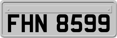 FHN8599
