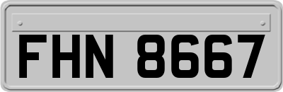 FHN8667