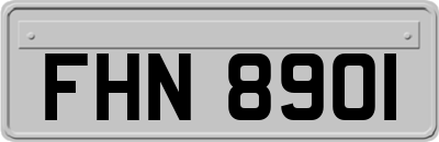 FHN8901