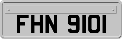 FHN9101