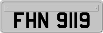 FHN9119