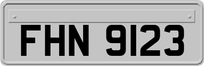 FHN9123