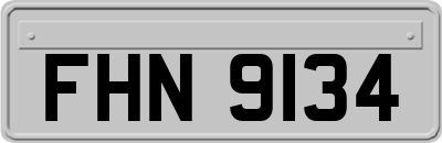 FHN9134