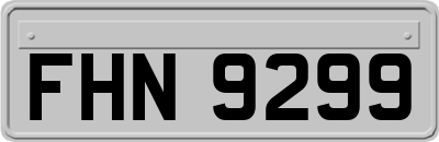 FHN9299
