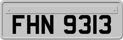 FHN9313
