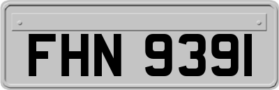 FHN9391